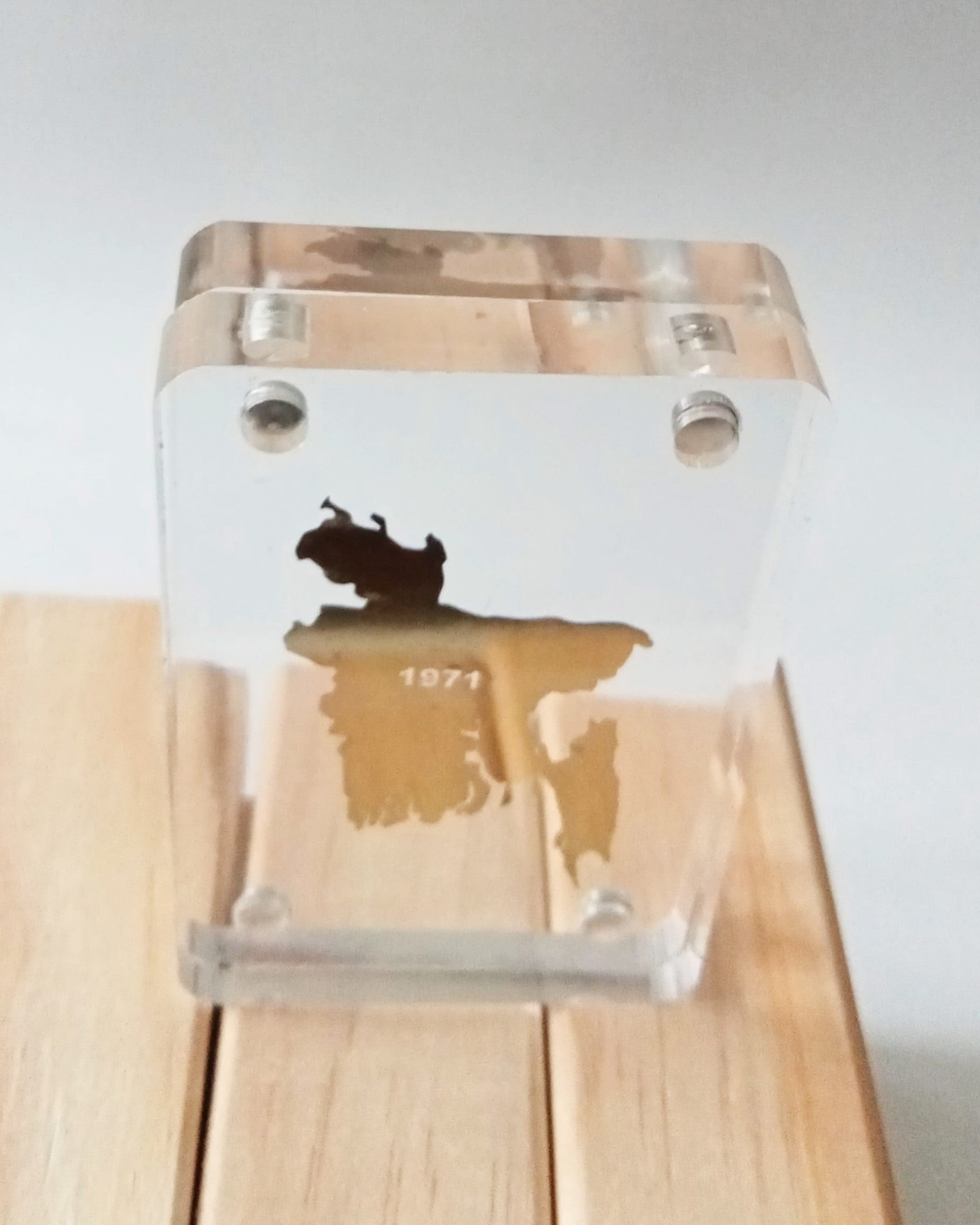 Gold Map of Bangladesh Acrylic Block