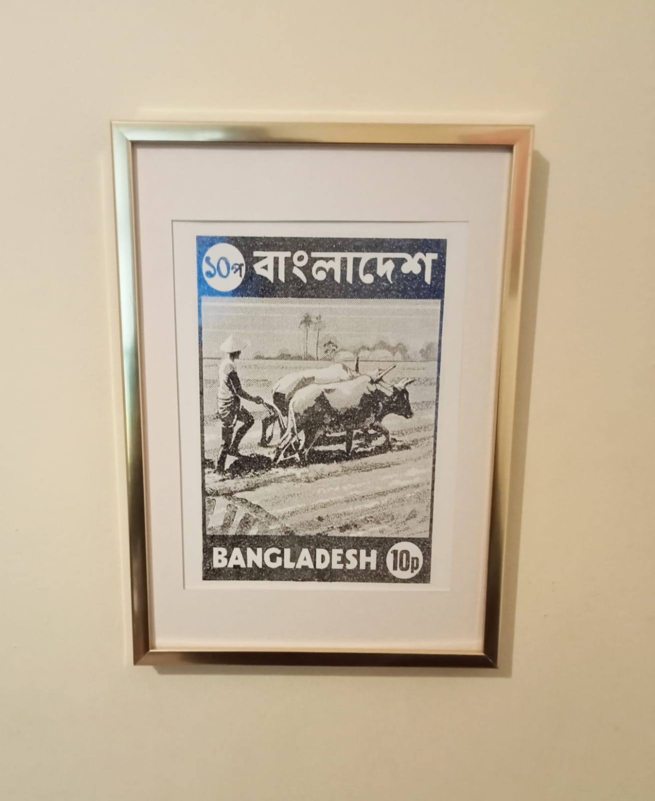 Bangladesh Plough Frame